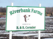 riverbank_farms_bulls_for_sale1004001.jpg